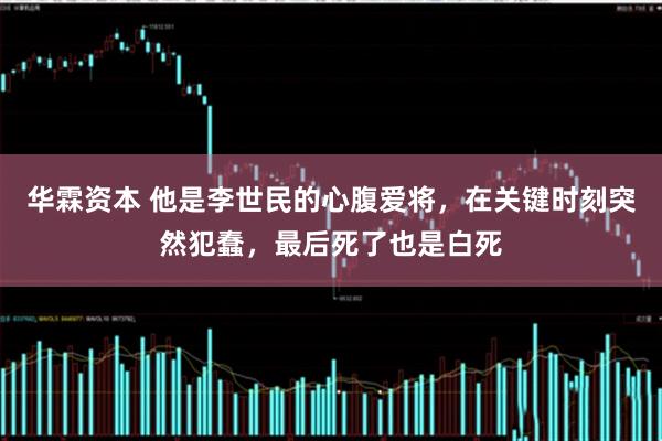 华霖资本 他是李世民的心腹爱将，在关键时刻突然犯蠢，最后死了也是白死